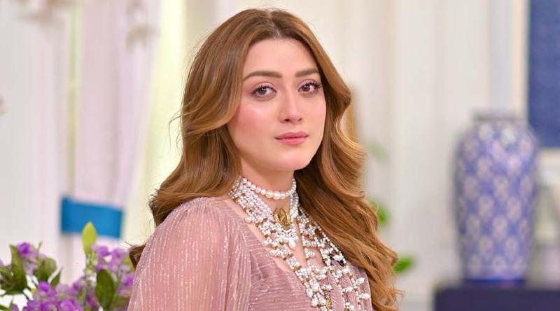 রাজনৈতিক নেতার বিরুদ্ধে হয়রানির অভিযোগ পাকিস্তানী অভিনেত্রীর