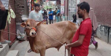 ঢাকায় ঈদের দ্বিতীয় দিনেও চলছে পশু কোরবানি