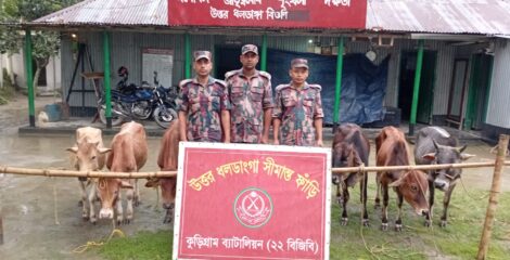 কুড়িগ্রাম সীমান্তে বিজিবির সাঁড়াশি অভিযান, আটক গবাদিপশুসহ নানা চোরাচালানি পণ্য