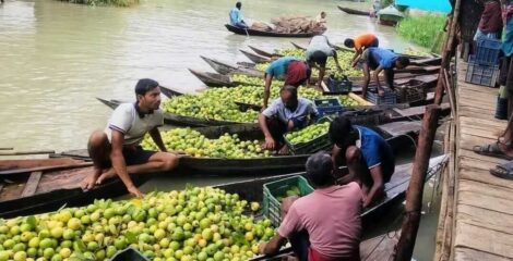 ভিমরুলীতে ডিজে ও উচ্চস্বরে সাউন্ড সিস্টেমে কড়াকড়ি, মাঠে প্রশাসন