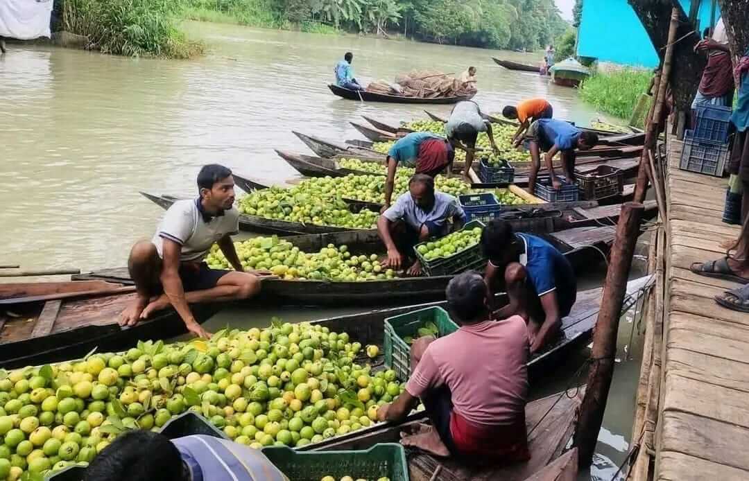 ভিমরুলীতে ডিজে ও উচ্চস্বরে সাউন্ড সিস্টেমে কড়াকড়ি, মাঠে প্রশাসন