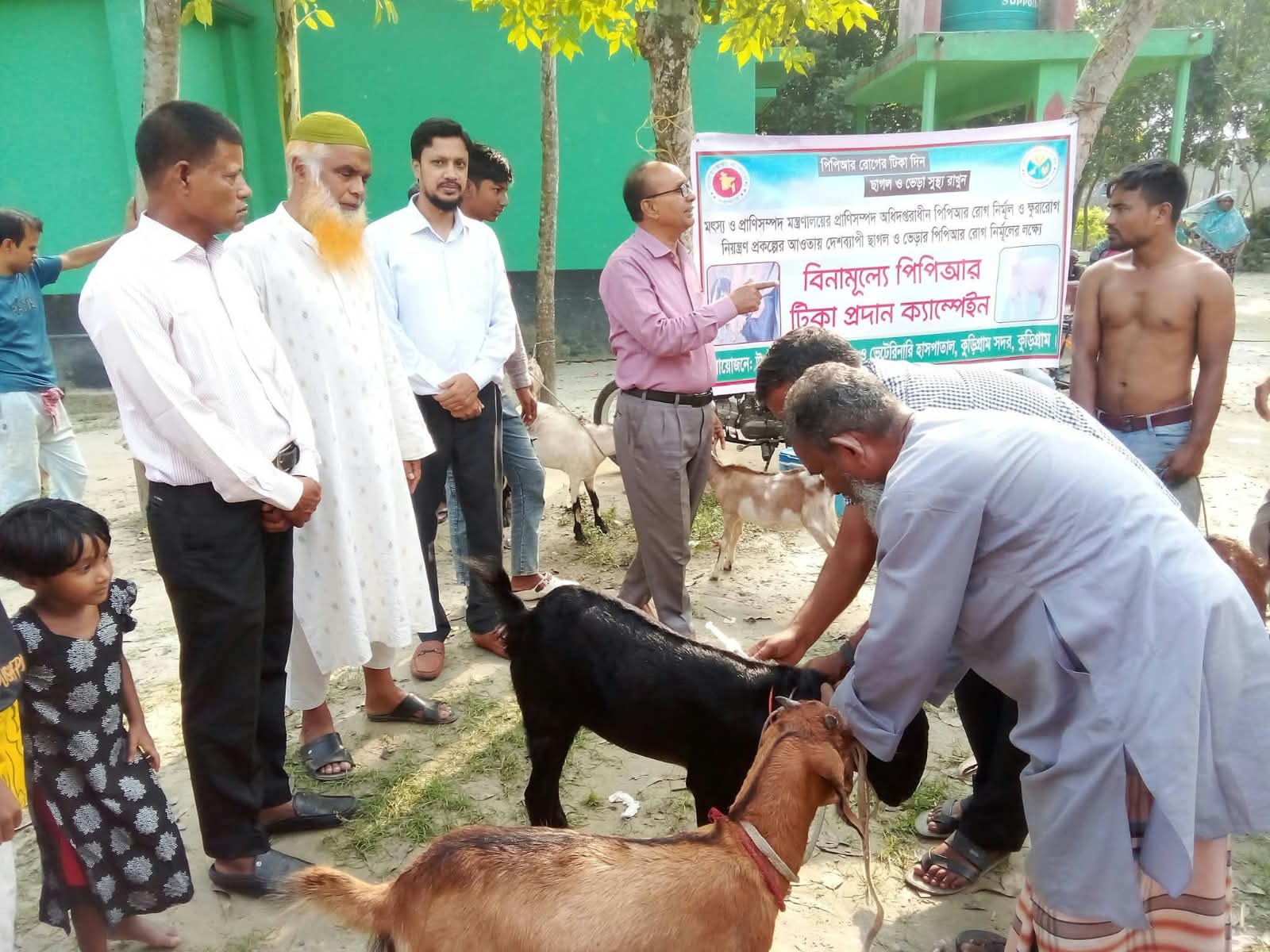 কুড়িগ্রামে বিনামূল্যে পিপিআর টিকা প্রদান ক্যাম্পেইন অনুষ্ঠিত