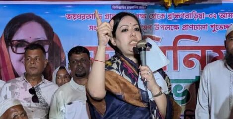 দেশে এখন গরু-মহিষকে ঘাস খাওয়াতেও চাঁদা দিতে হয়: রুমিন ফারহানা