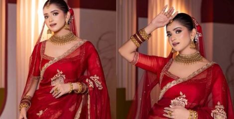 গাঢ় লাল শাড়িতে বধূর সাজে নজর কাড়লেন তানজিন তিশা